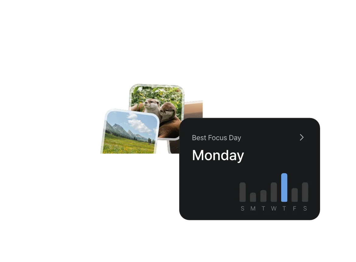 Arch analytics showing completed days and focused time